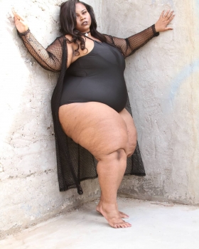 I love big women with big tits and have been with a lot of them. My all time favorite was Barbara who I met at a club in New York. She was a strikingly beautiful woman, a classic BBW with a large fram